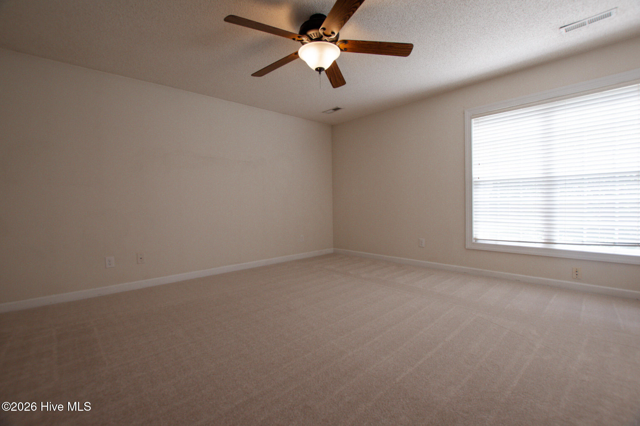 1629 Greys Mill Road Rocky Mount, NC 27804 - Photo 5 of 15 DSC_0399