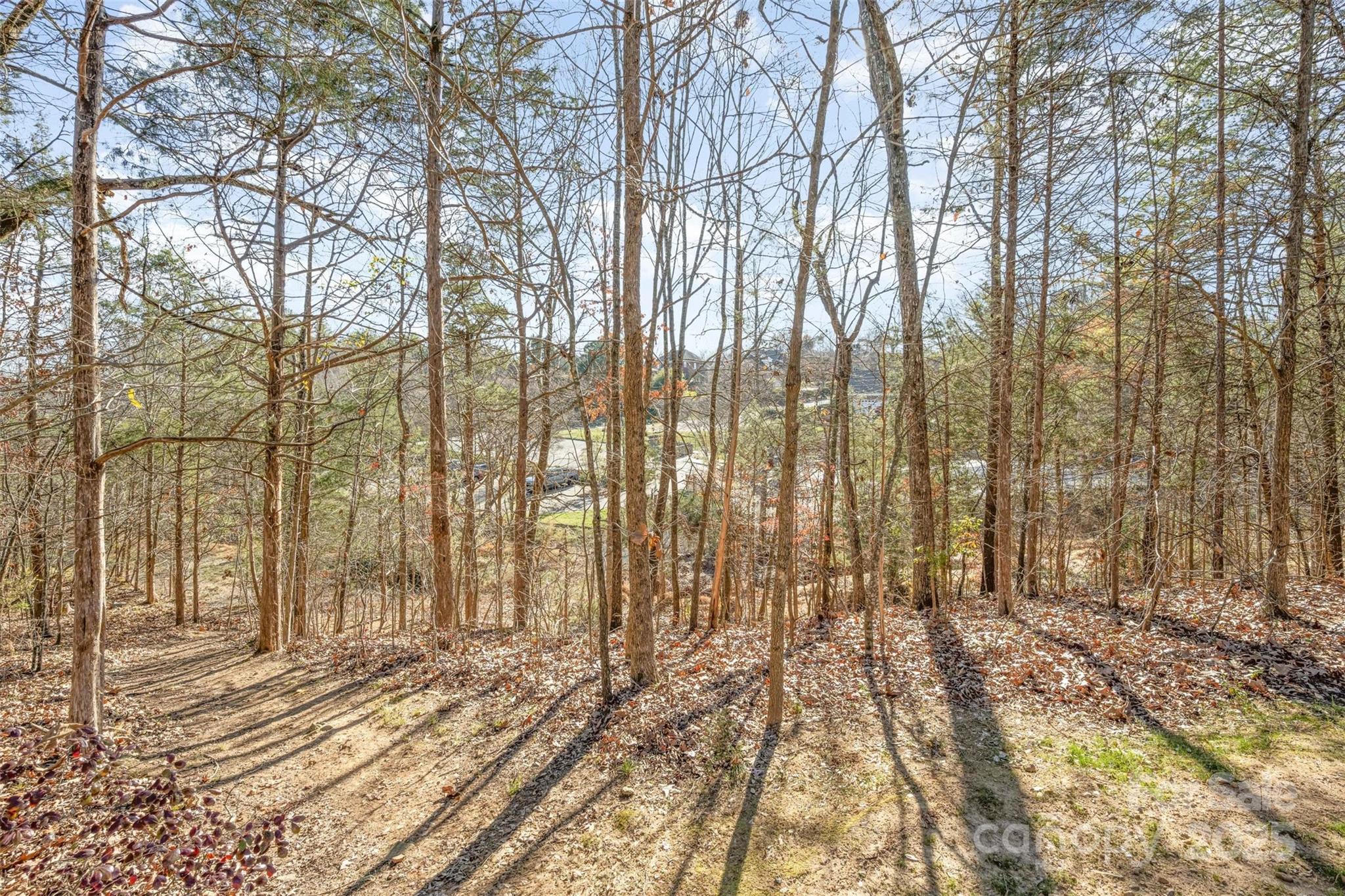 9467 Hester Court Harrisburg, NC 28075 - Photo 43 of 48 a view of wooden floor