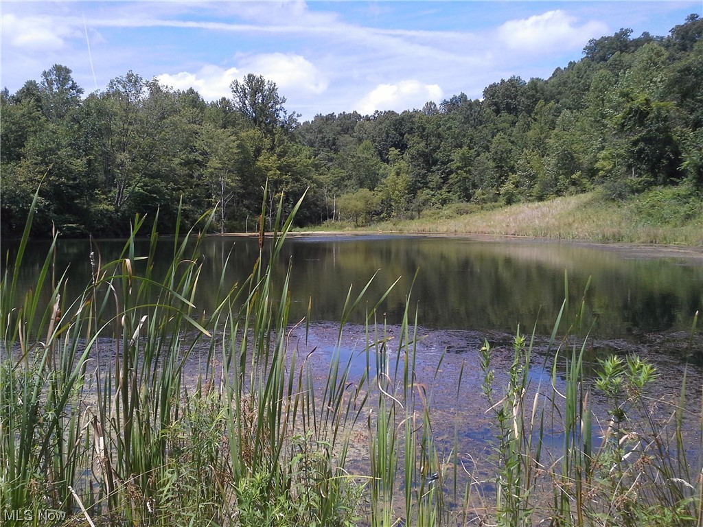 8957 Tinney Road Dennison, OH 44621 - Photo 11 of 26 View of property view of water