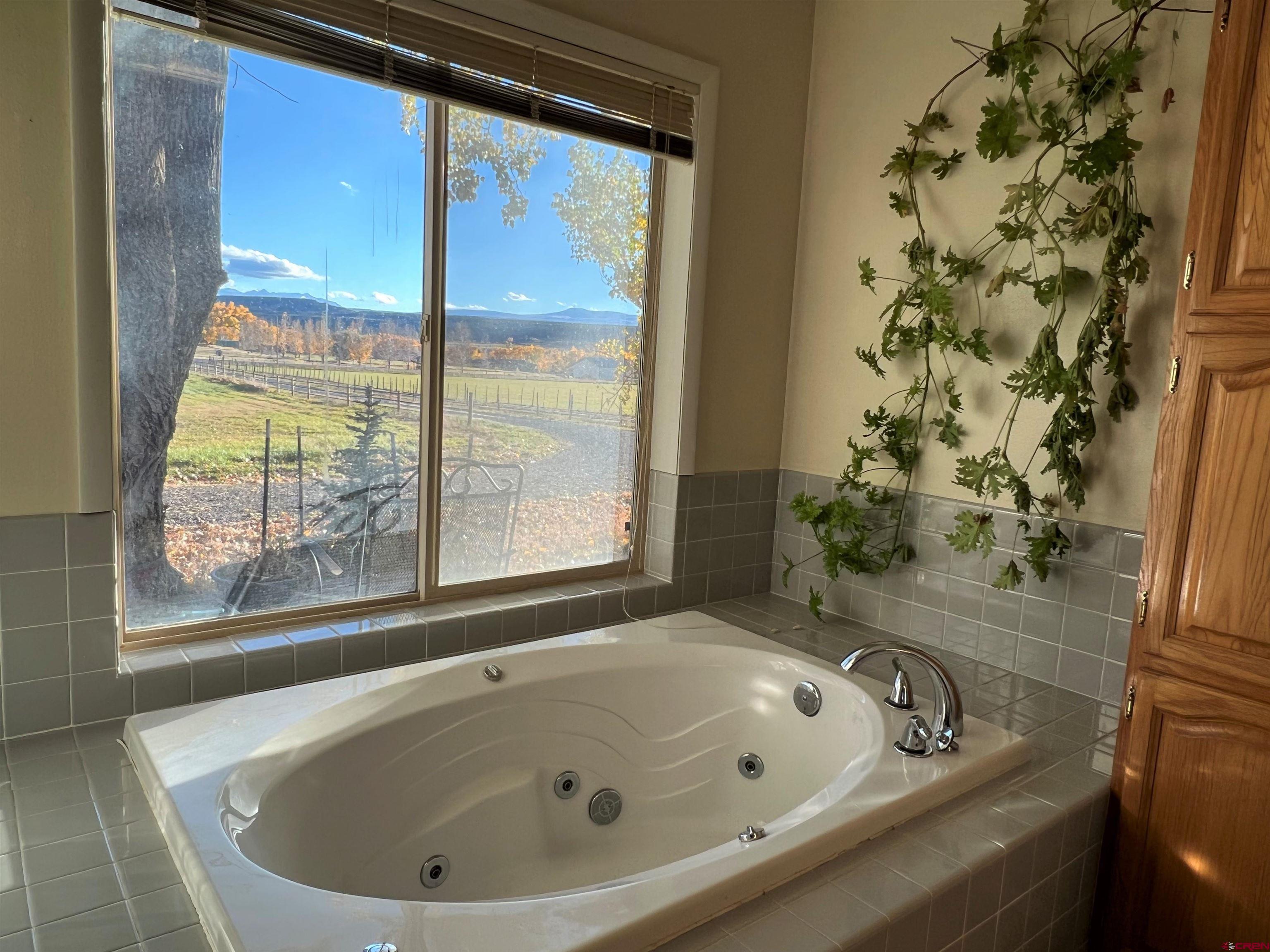 21750 Uncompahgre Road Montrose, CO 81403 - Photo 17 of 29 Gallery Image 17