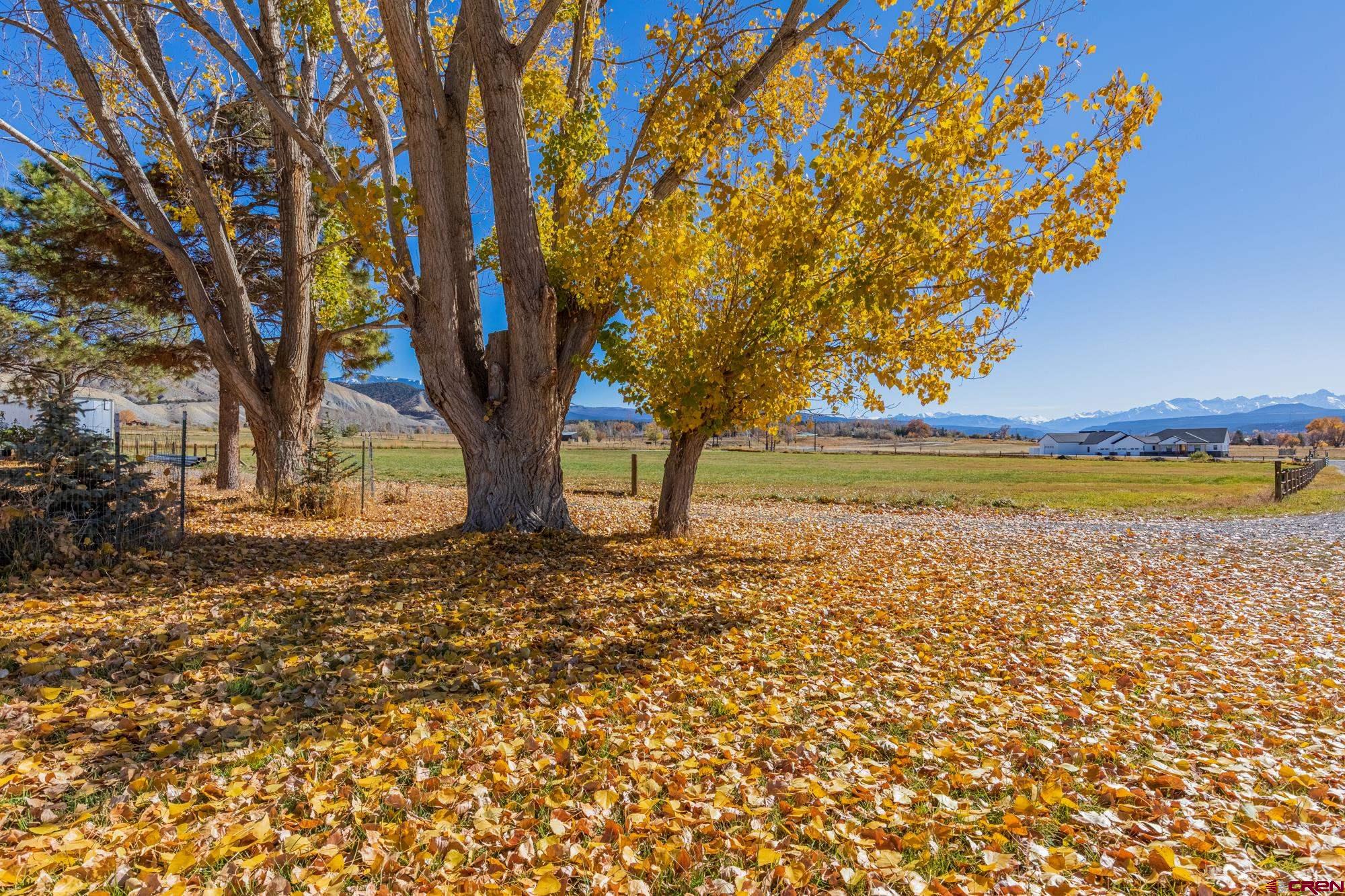 21750 Uncompahgre Road Montrose, CO 81403 - Photo 6 of 29 Gallery Image 6