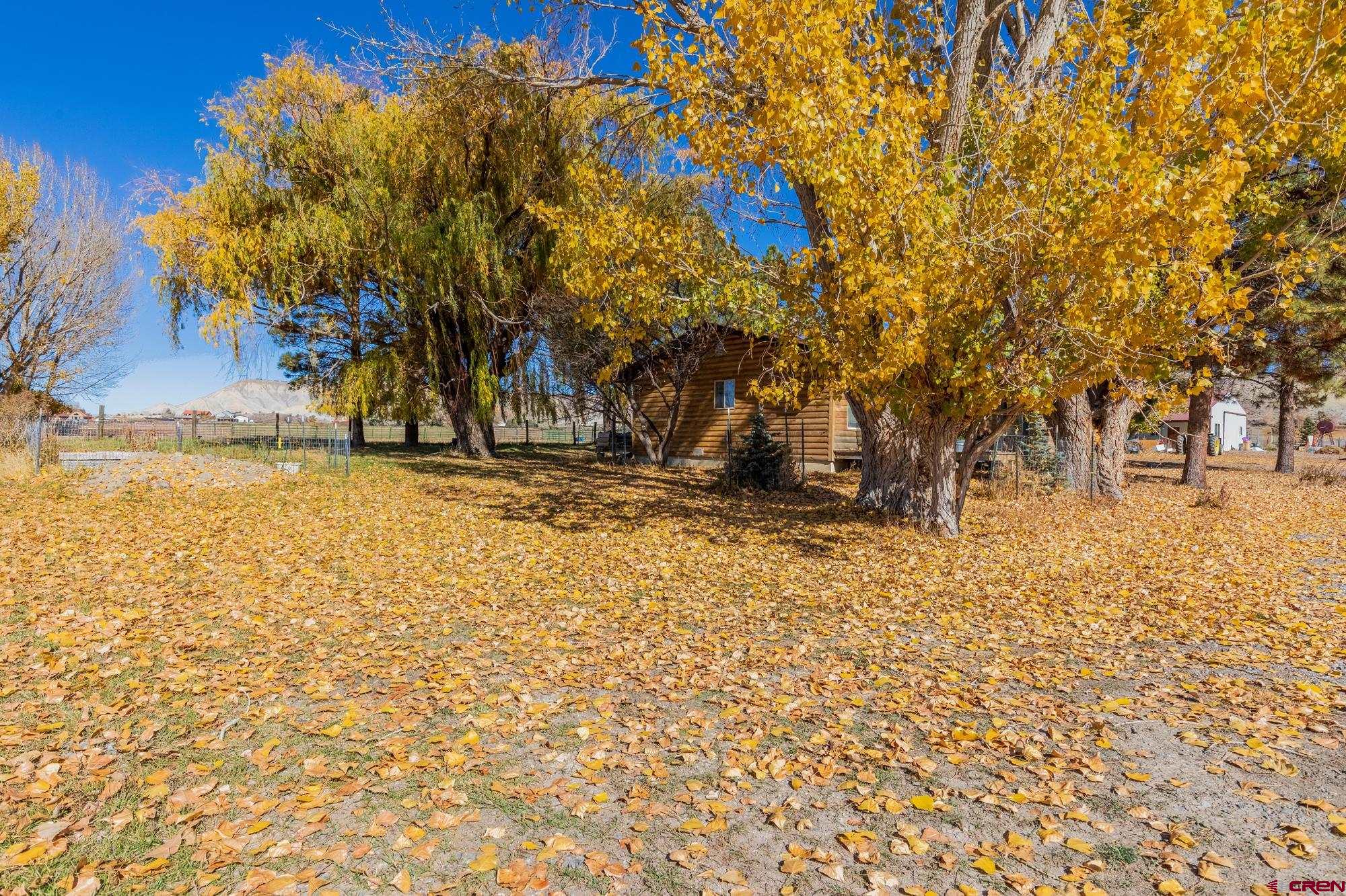 21750 Uncompahgre Road Montrose, CO 81403 - Photo 7 of 29 Gallery Image 7