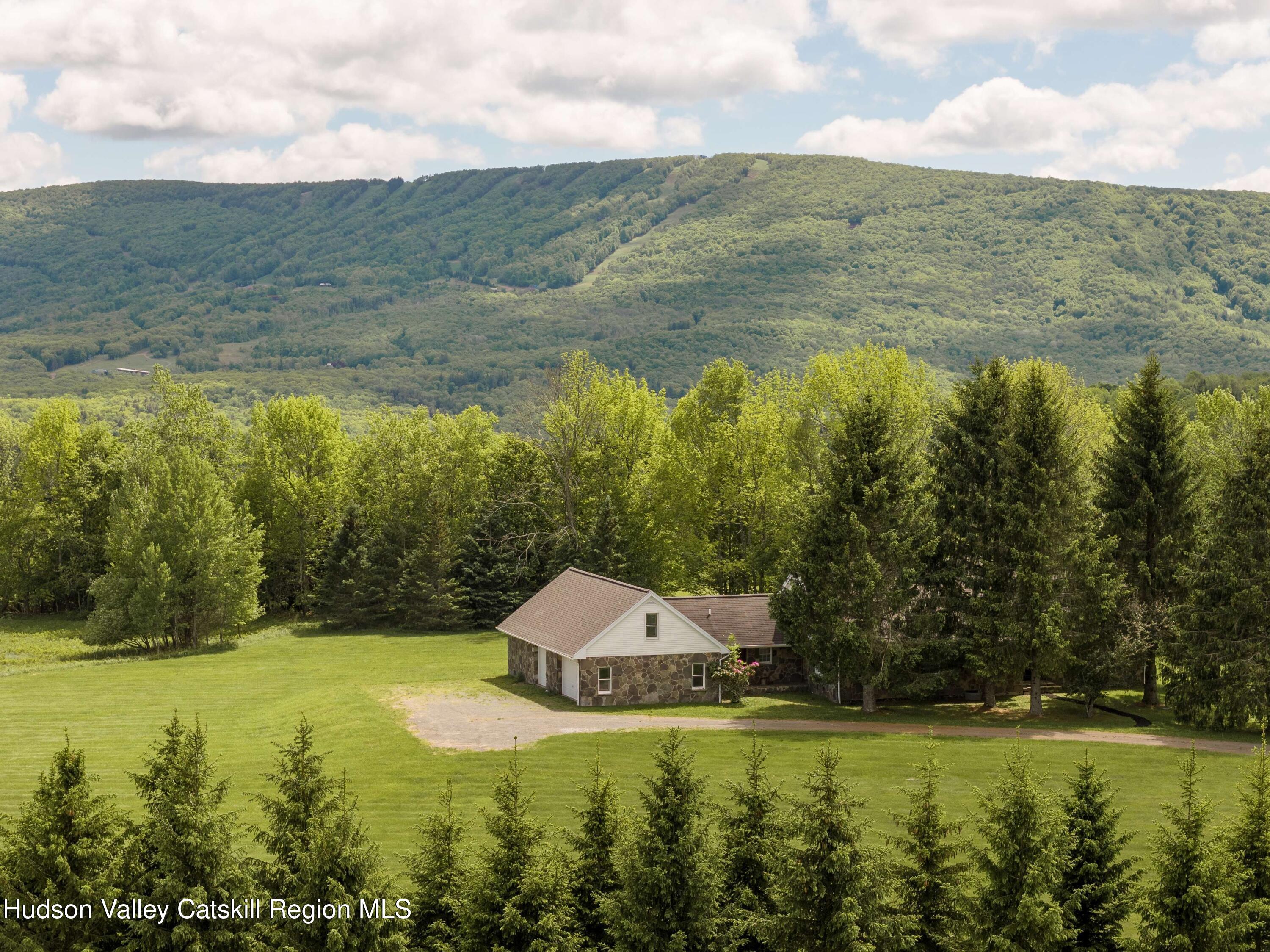 2114 Brush Ridge Road Fleischmanns, NY 12430 - Photo 2 of 35 02