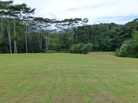1700 Huli Road, Unit 2 Kilauea, HI 96754 - Photo 1 of 2 a view of a field with trees in the background