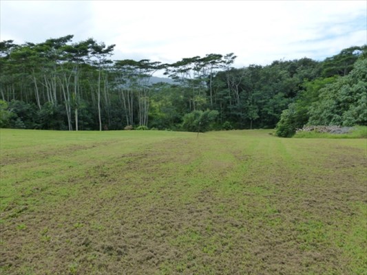 1700 Huli Road, Unit 2 Kilauea, HI 96754 - Photo 2 of 2 a view of outdoor space and yard