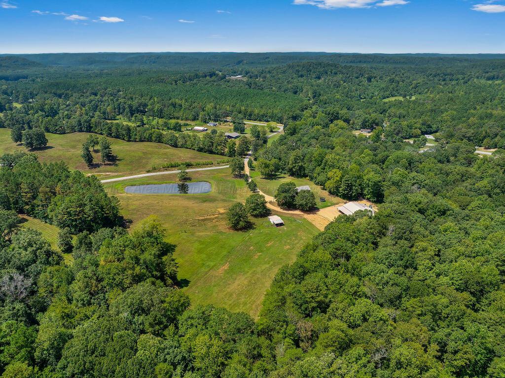 117 Davidson Loop Oakman, AL 35579 - Photo 36 of 39 DJI_20250815120411_0188_D-88-44