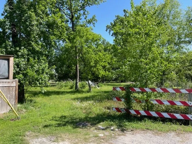 a view of yard with green space