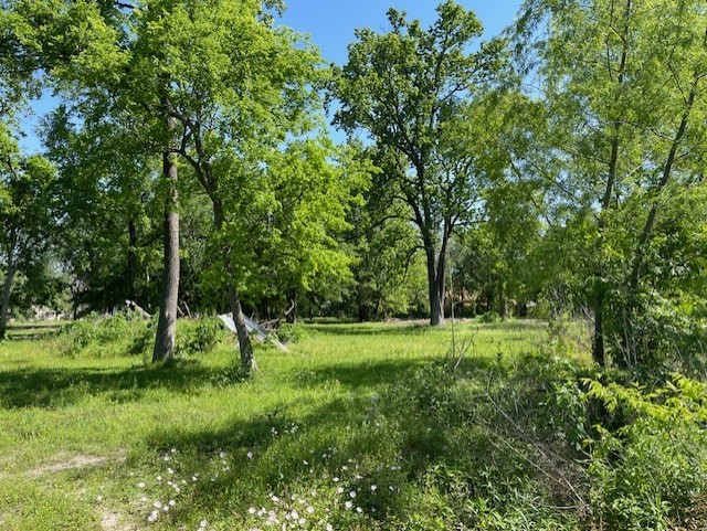 Tbd Shotwell Street Houston, TX 77016 - Photo 4 of 7 a view of a park with a tree