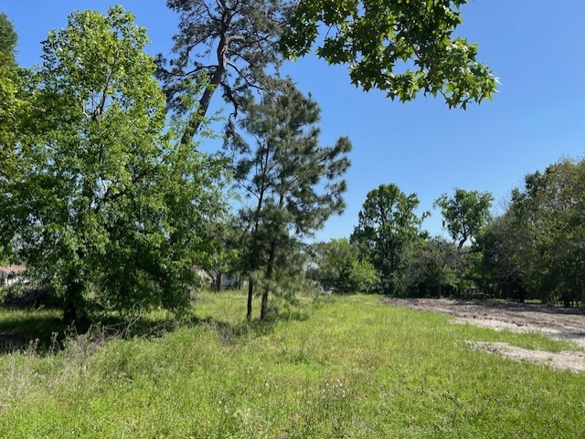 Tbd Shotwell Street Houston, TX 77016 - Photo 6 of 7 a view of backyard with green space