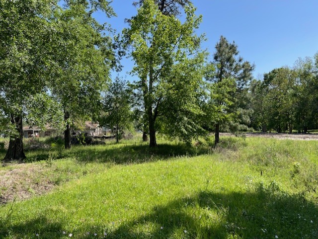 Tbd Shotwell Street Houston, TX 77016 - Photo 7 of 7 a view of backyard with green space