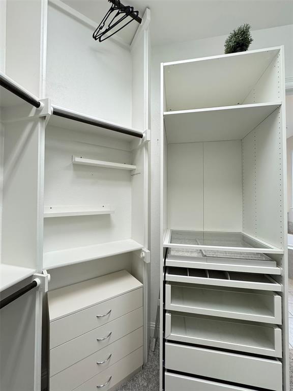 12407 Scottswood Road Frisco, TX 75035 - Photo 11 of 14 Walk in closet featuring light colored carpet