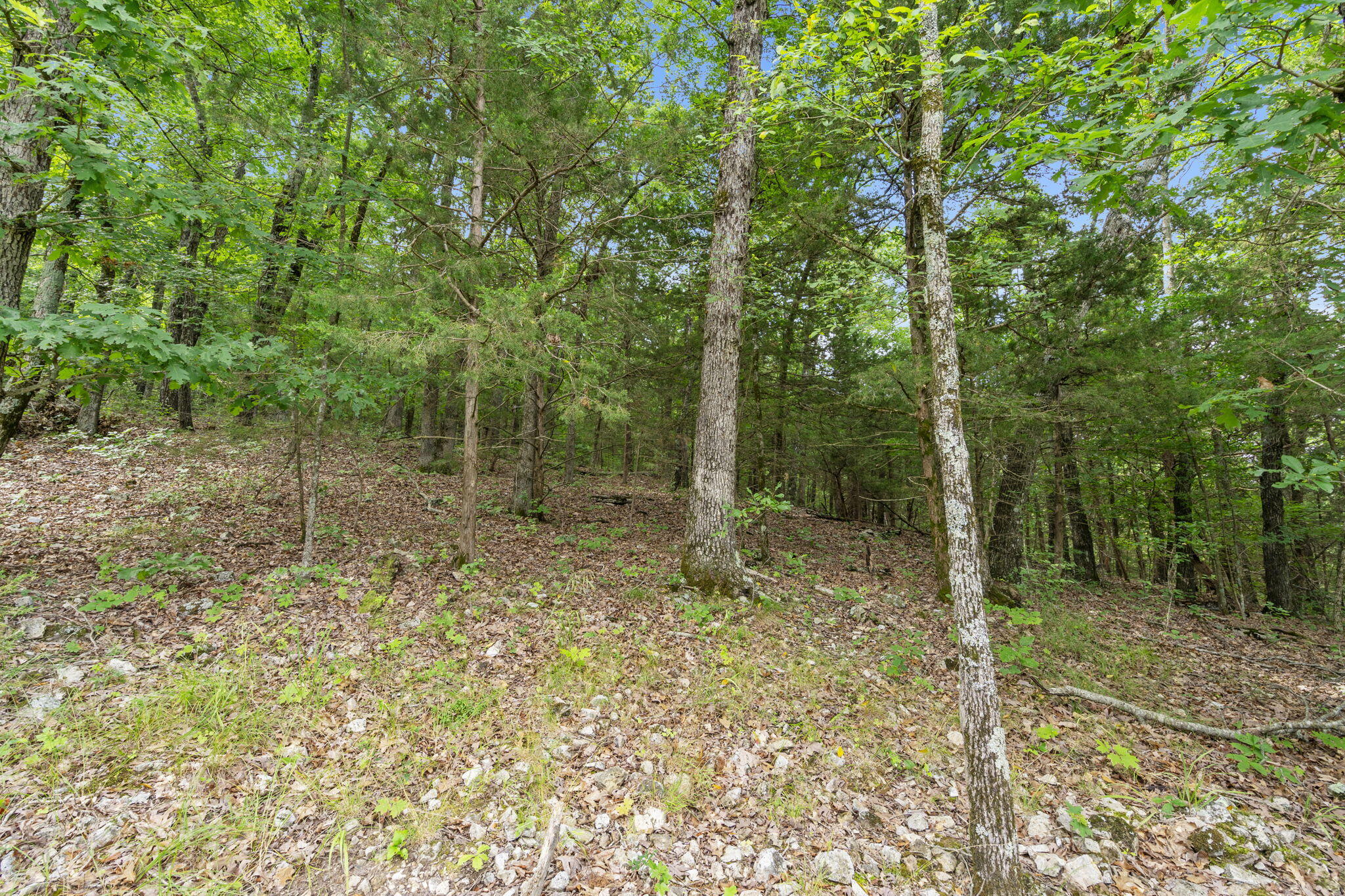 Tbd Luke Street Reeds Spring, MO 65737 - Photo 23 of 39 Tbd-Luke-St-Private-Land-Land