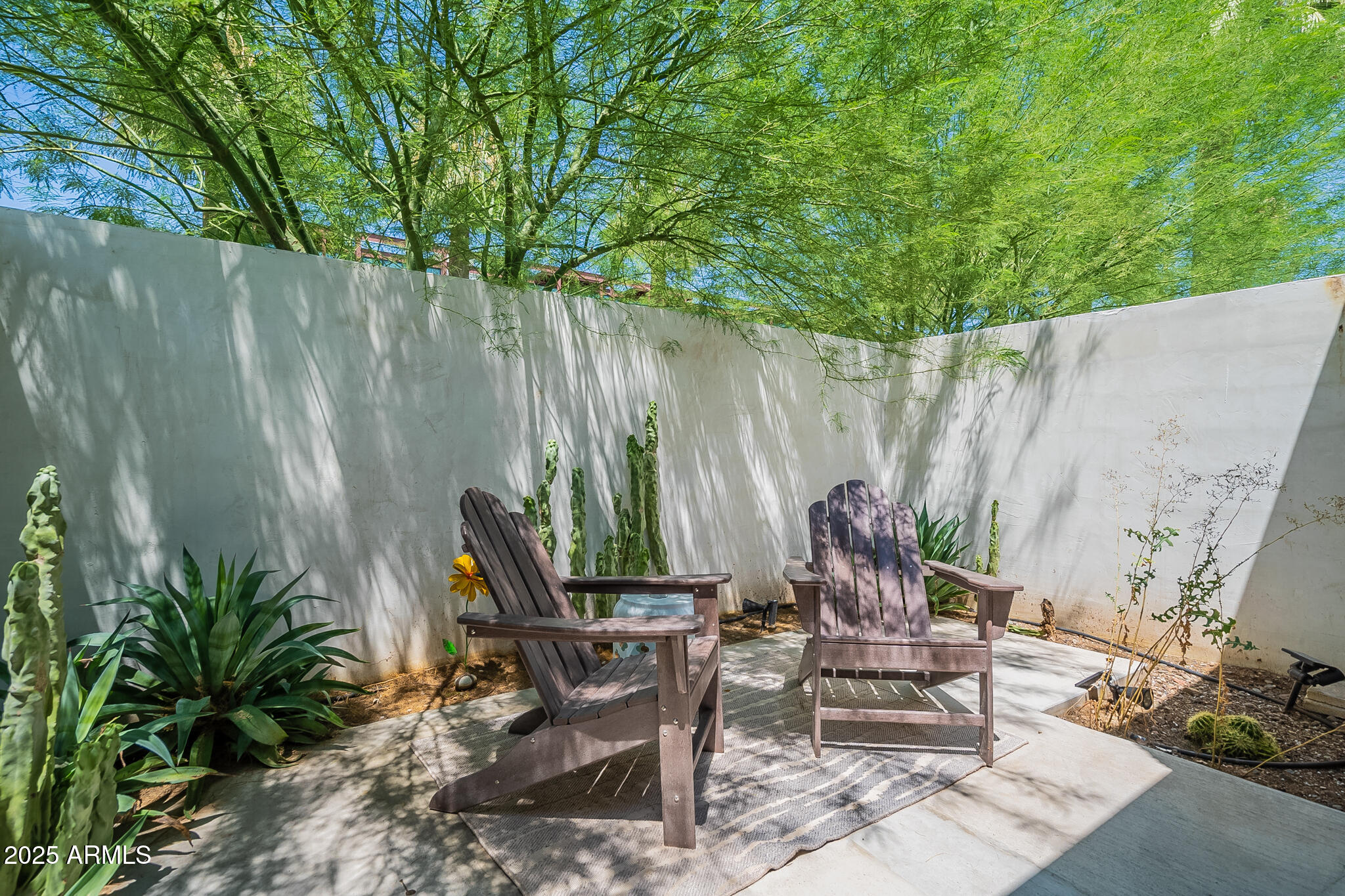 4351 North 36th Street, Unit 1 Phoenix, AZ 85018 - Photo 21 of 21 Unit 1 Patio1
