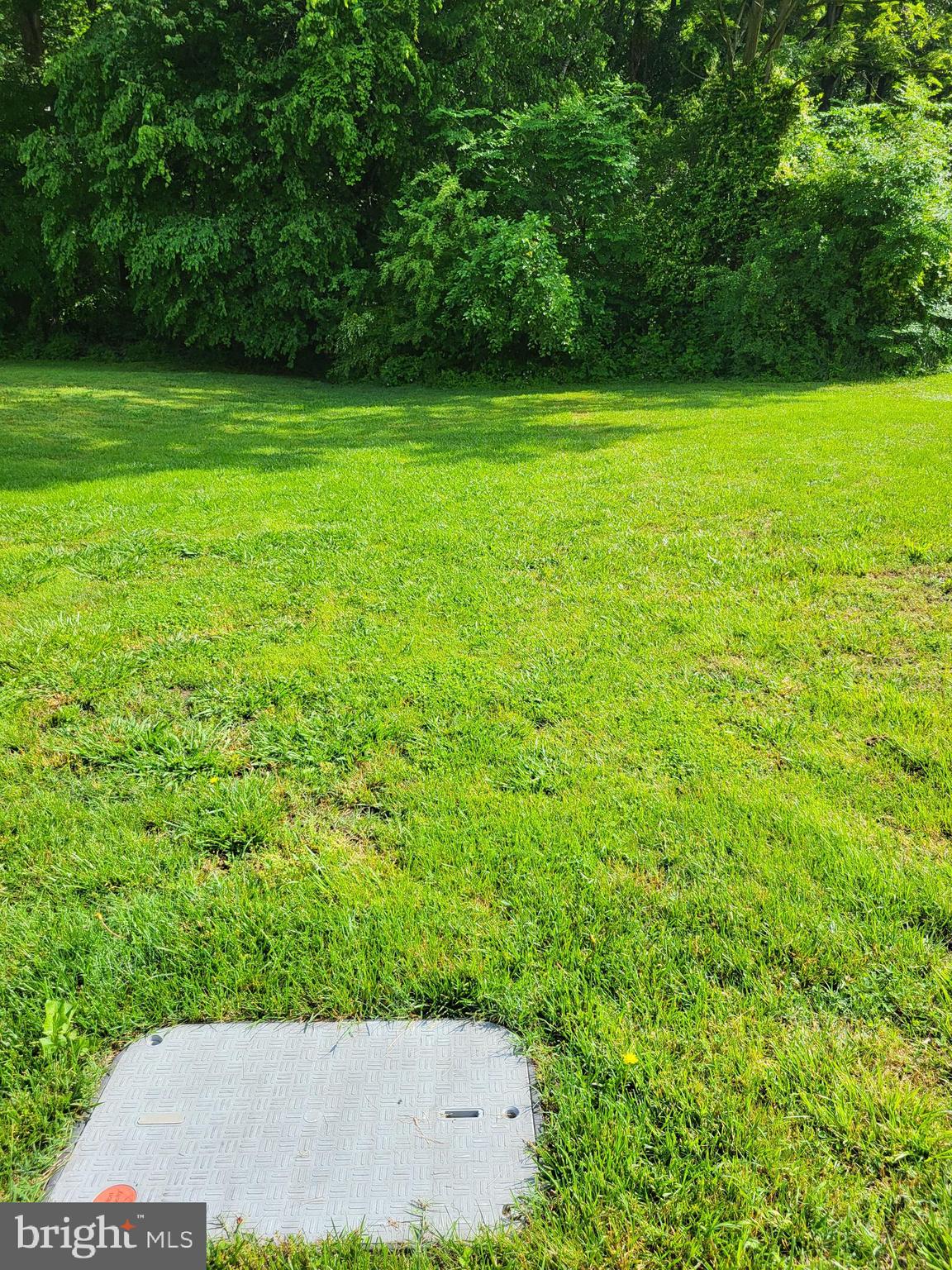 Lot B Blades Road Cordova, MD 21625 - Photo 2 of 5 Utility box is estimated front left corner