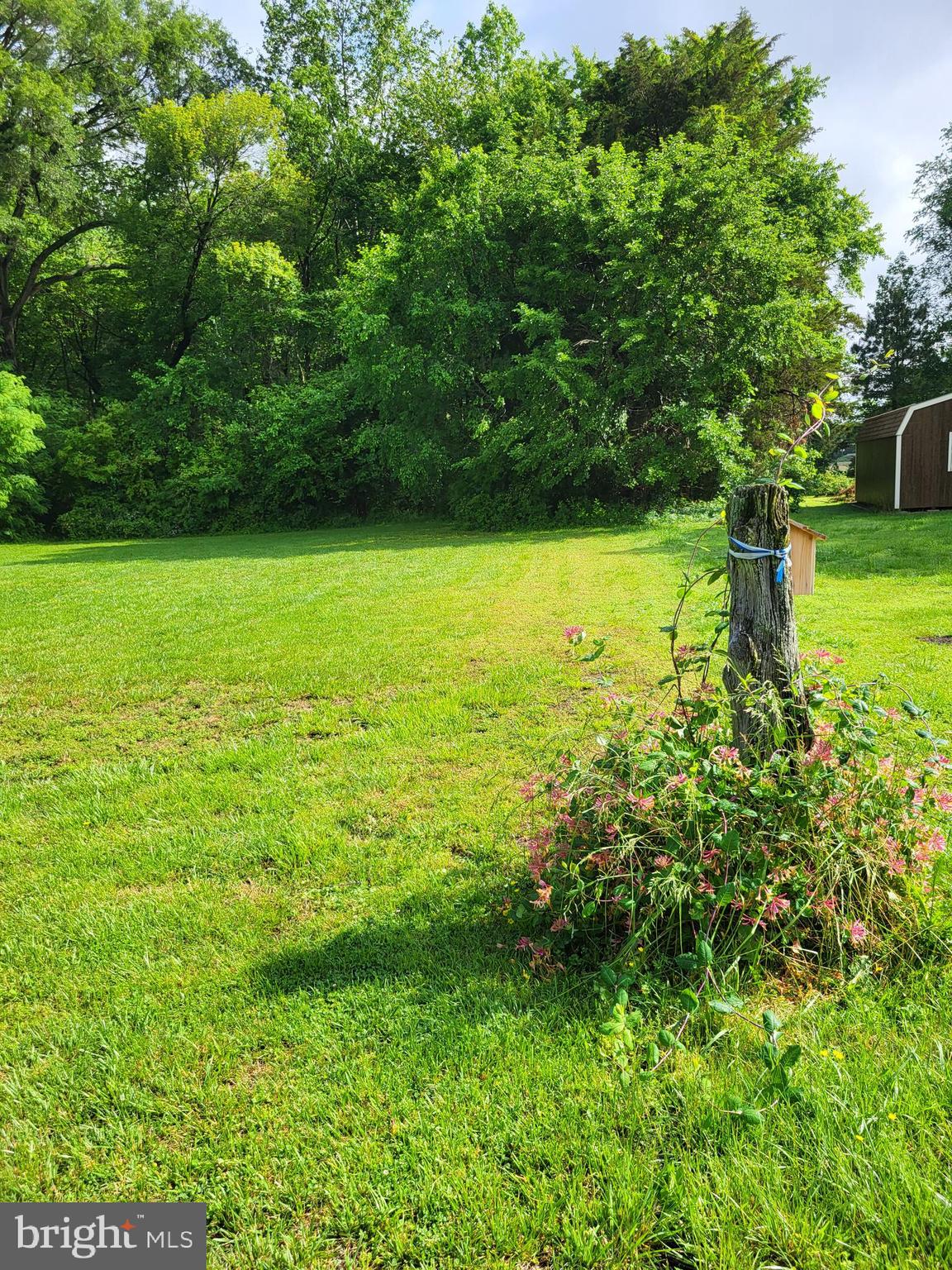 Lot B Blades Road Cordova, MD 21625 - Photo 3 of 5 Post is estimated front right corner.