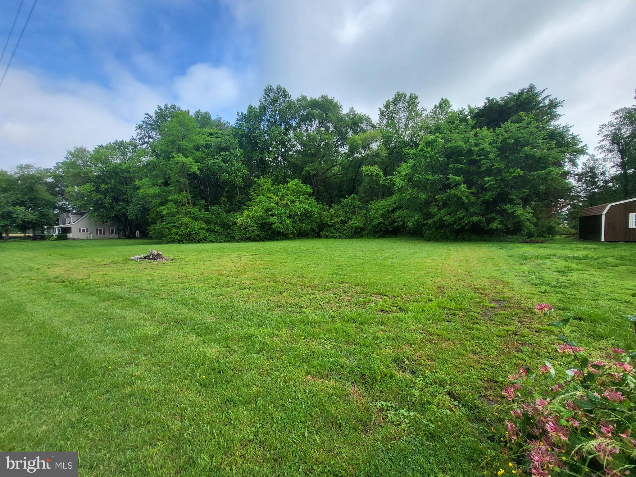 Lot B Blades Road Cordova, MD 21625 - Photo 5 of 5 From Right front corner