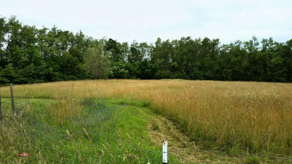 31798 Crane Road Sturgis, MI 49091 - Photo 26 of 30 1510439_10202938618386728_79848592139356