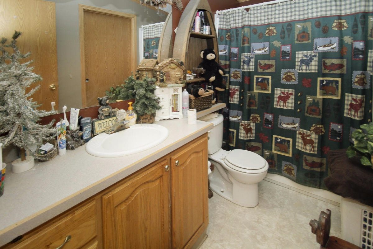 31798 Crane Road Sturgis, MI 49091 - Photo 10 of 30 15034114_12