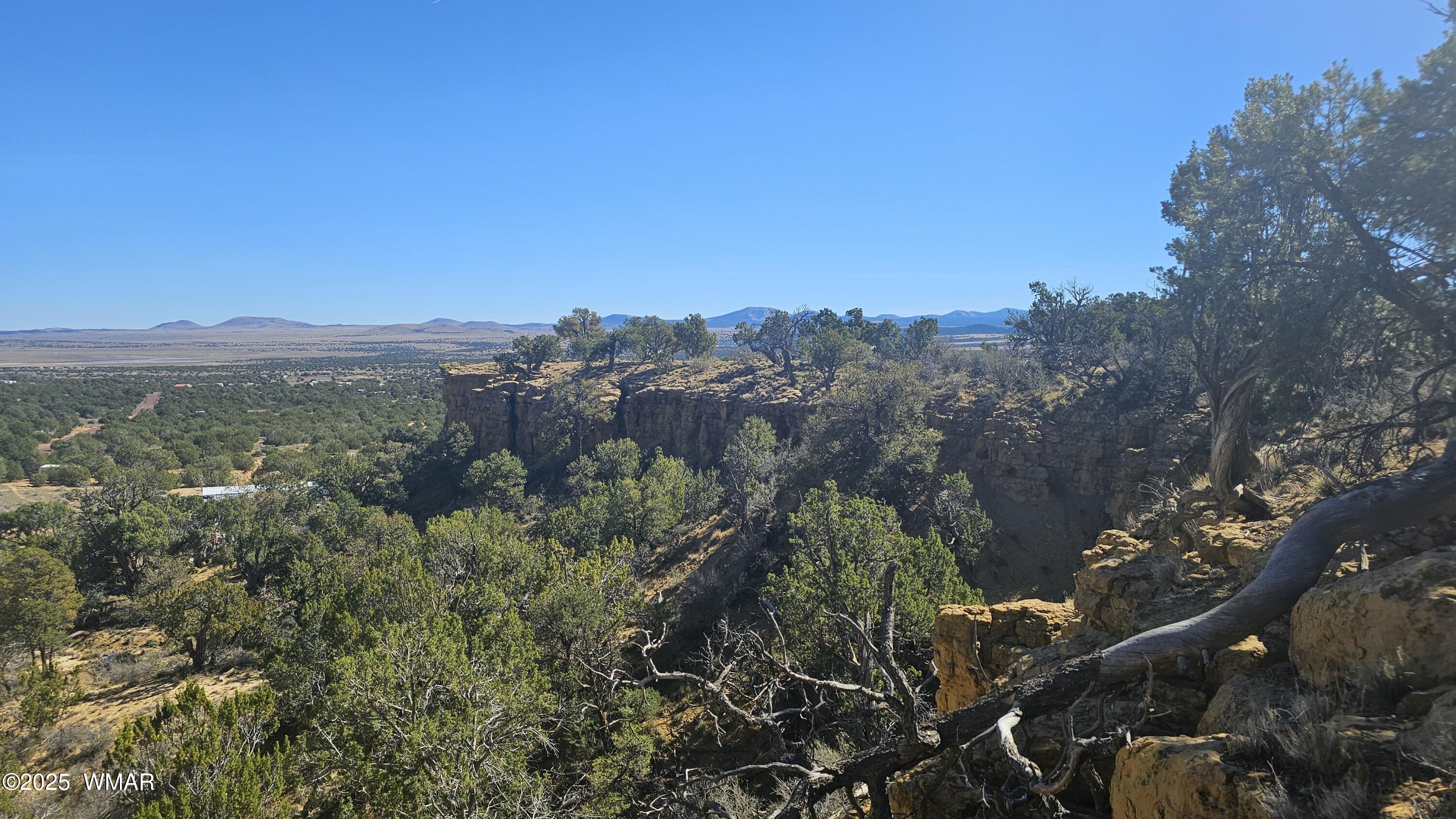 4 County Road Concho, AZ 85924 - Photo 11 of 28