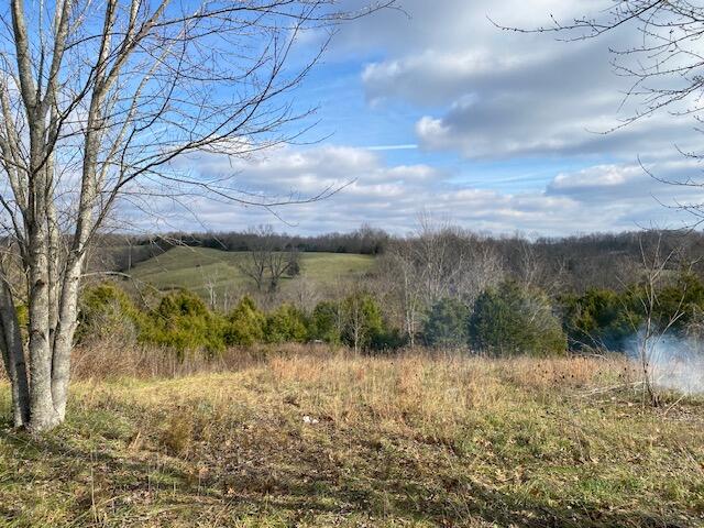 1080 Palmer Road Mount Eden, KY 40046 - Photo 3 of 34 3