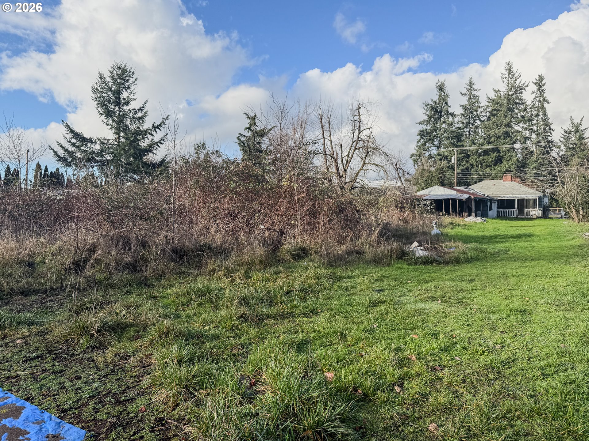 5995 Main Street Springfield, OR 97478 - Photo 10 of 18 a view of a house with a big yard and large trees