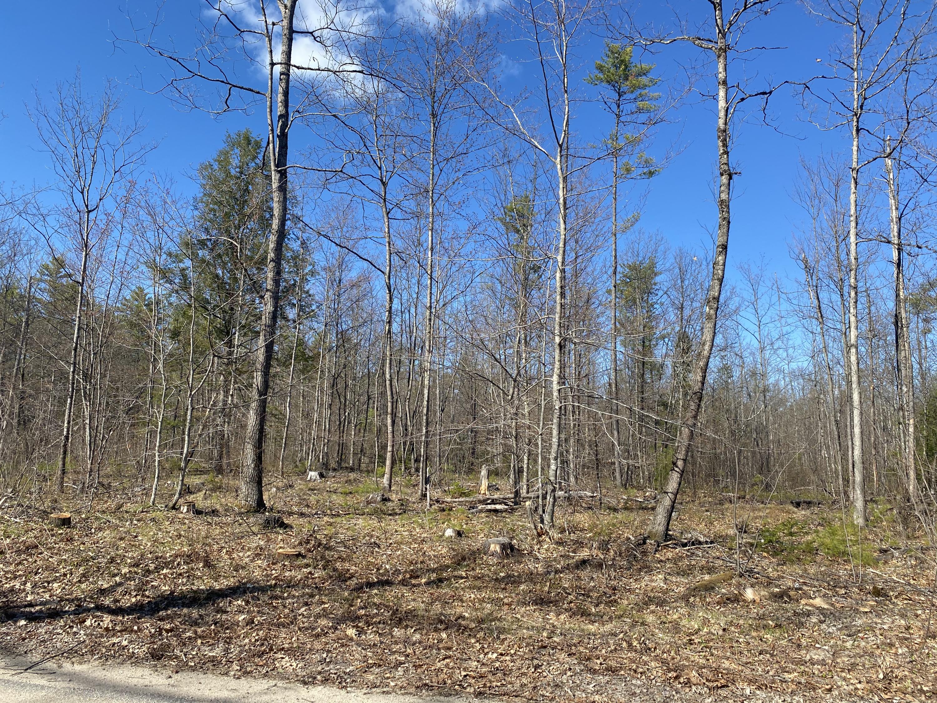 Lot 3 Sand Pond Road East Baldwin, ME 04024 - Photo 9 of 13 316120BE-929B-479C-A24C-9977CBA80FC1