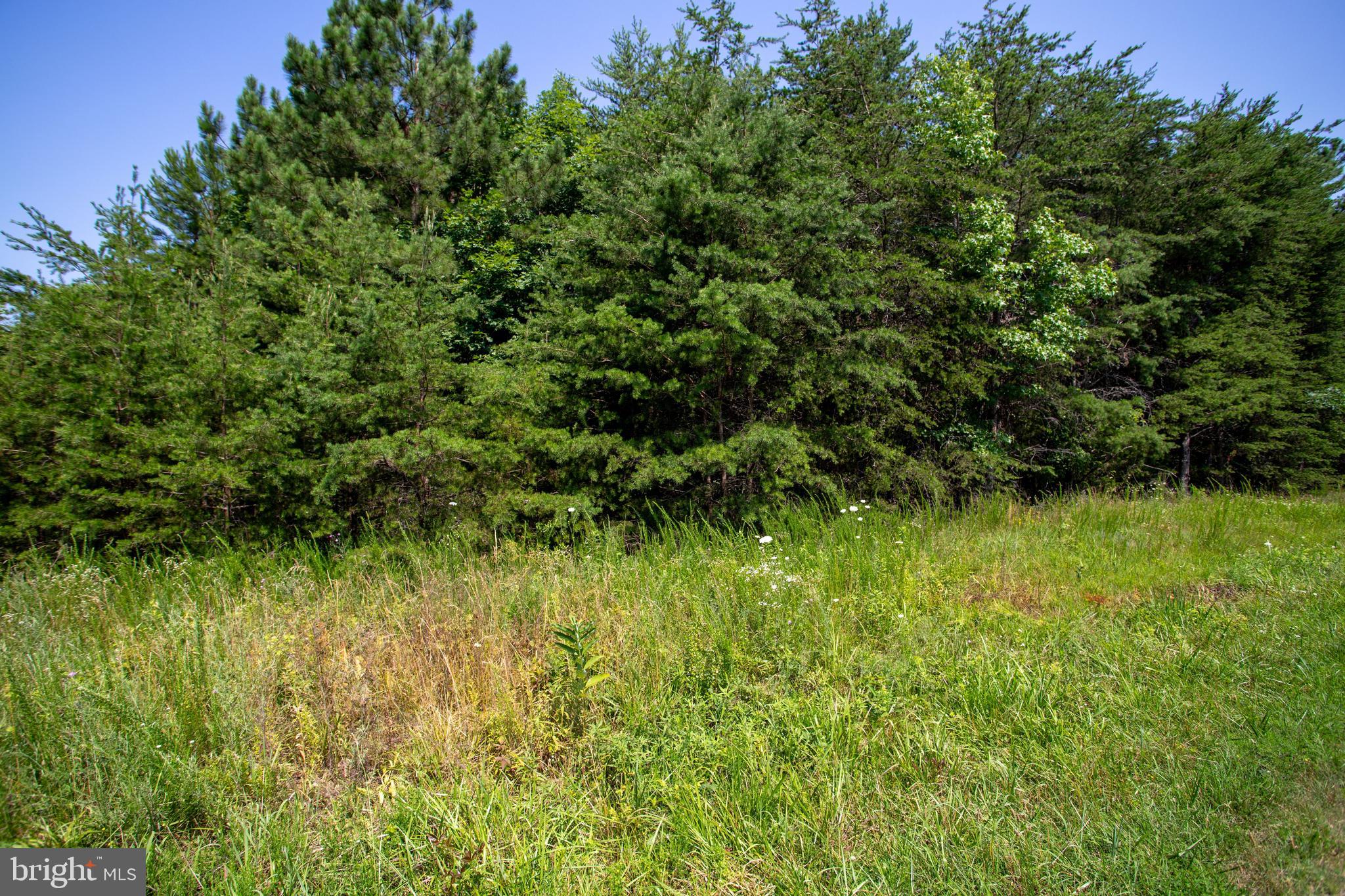 Tbd Springfield Road, Unit 1 Meherrin, VA 23954 - Photo 13 of 19 a view of a garden