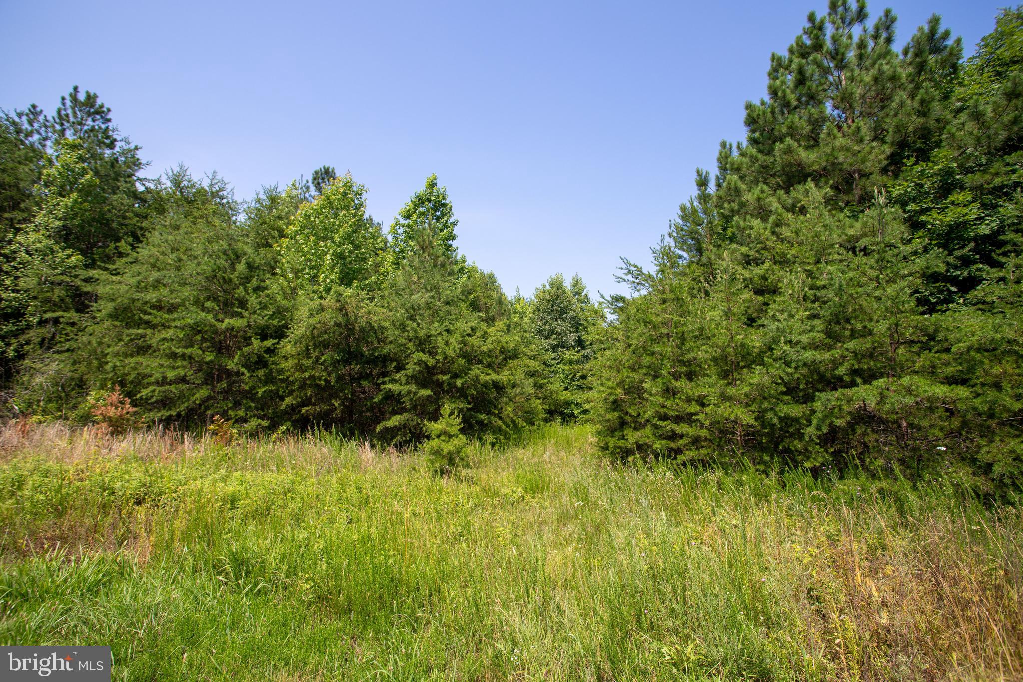 Tbd Springfield Road, Unit 1 Meherrin, VA 23954 - Photo 14 of 19 a view of a garden