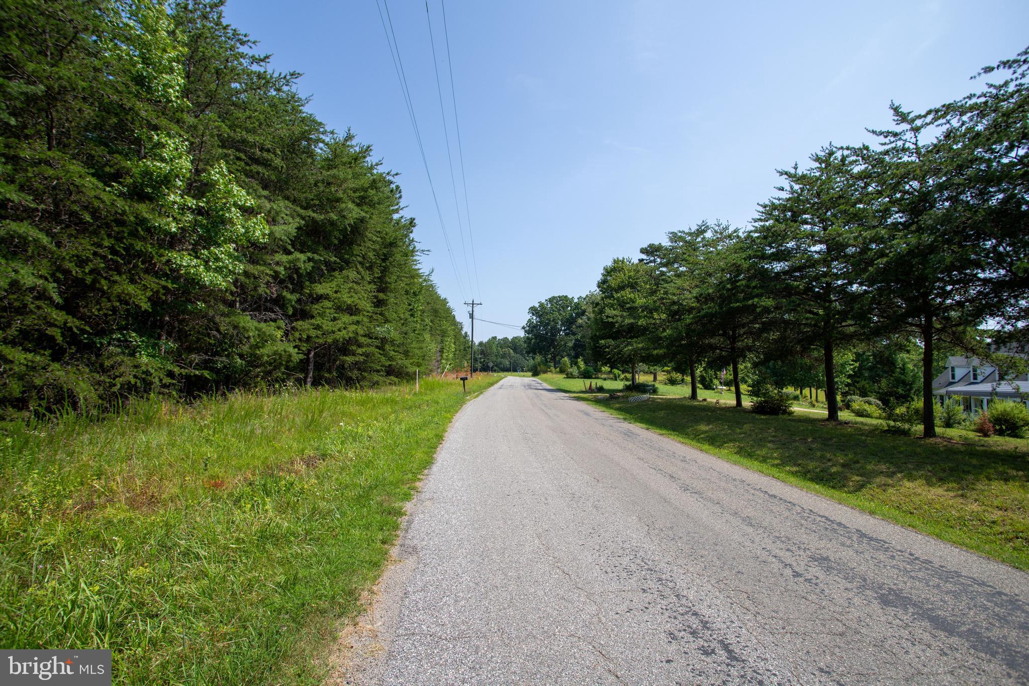 Tbd Springfield Road, Unit 1 Meherrin, VA 23954 - Photo 15 of 19 a view of a street with a yard and a large trees