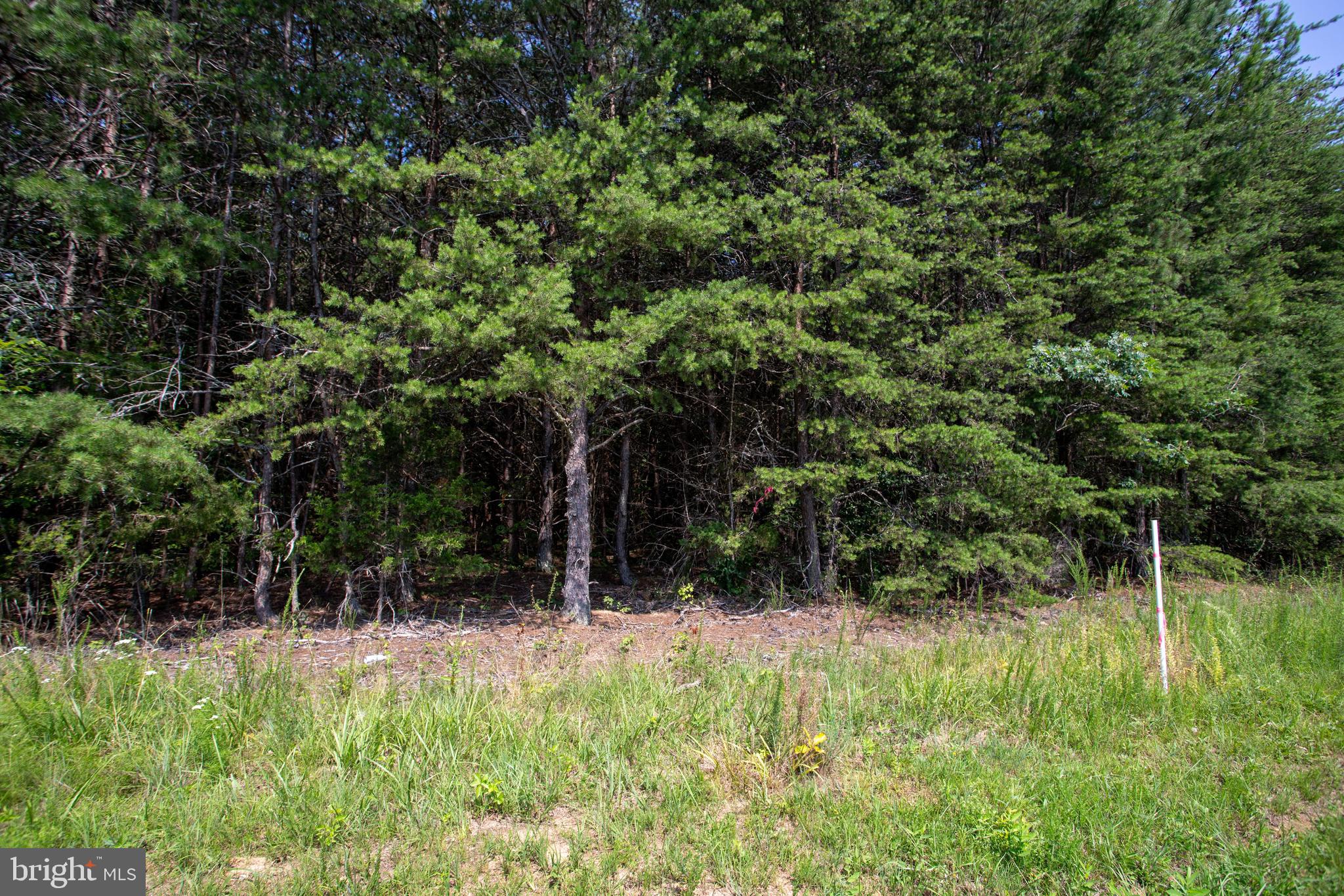 Tbd Springfield Road, Unit 1 Meherrin, VA 23954 - Photo 17 of 19 a view of backyard with green space