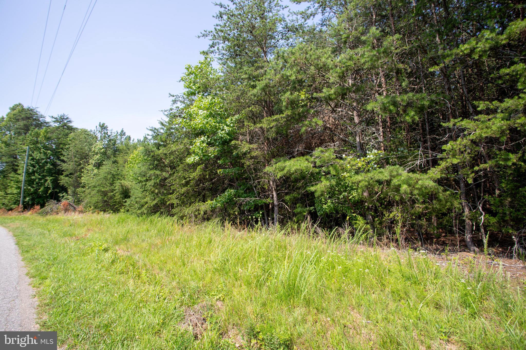 Tbd Springfield Road, Unit 1 Meherrin, VA 23954 - Photo 18 of 19 a view of outdoor space and yard