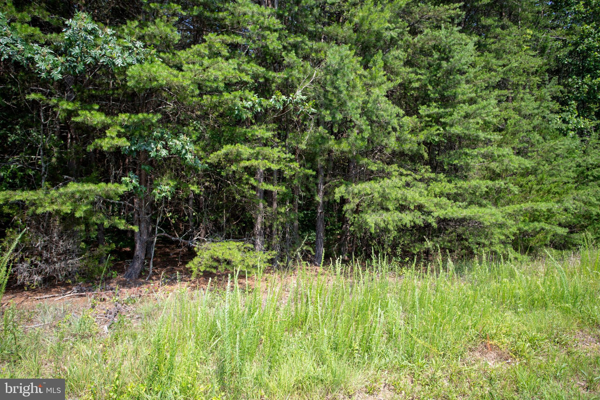 Tbd Springfield Road, Unit 1 Meherrin, VA 23954 - Photo 19 of 19 a backyard of a house with lots of green space and chair