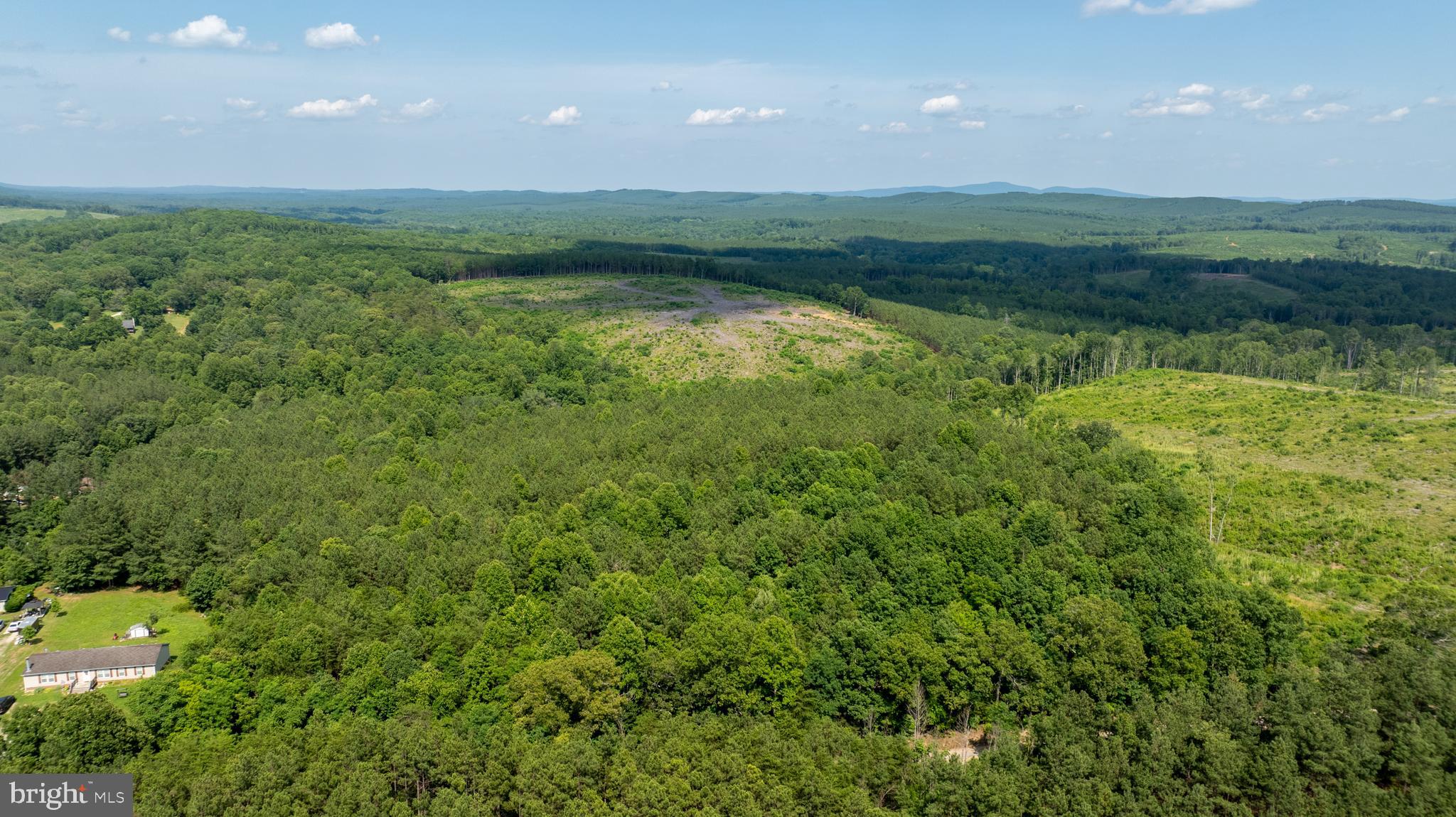 Tbd Springfield Road, Unit 1 Meherrin, VA 23954 - Photo 3 of 19