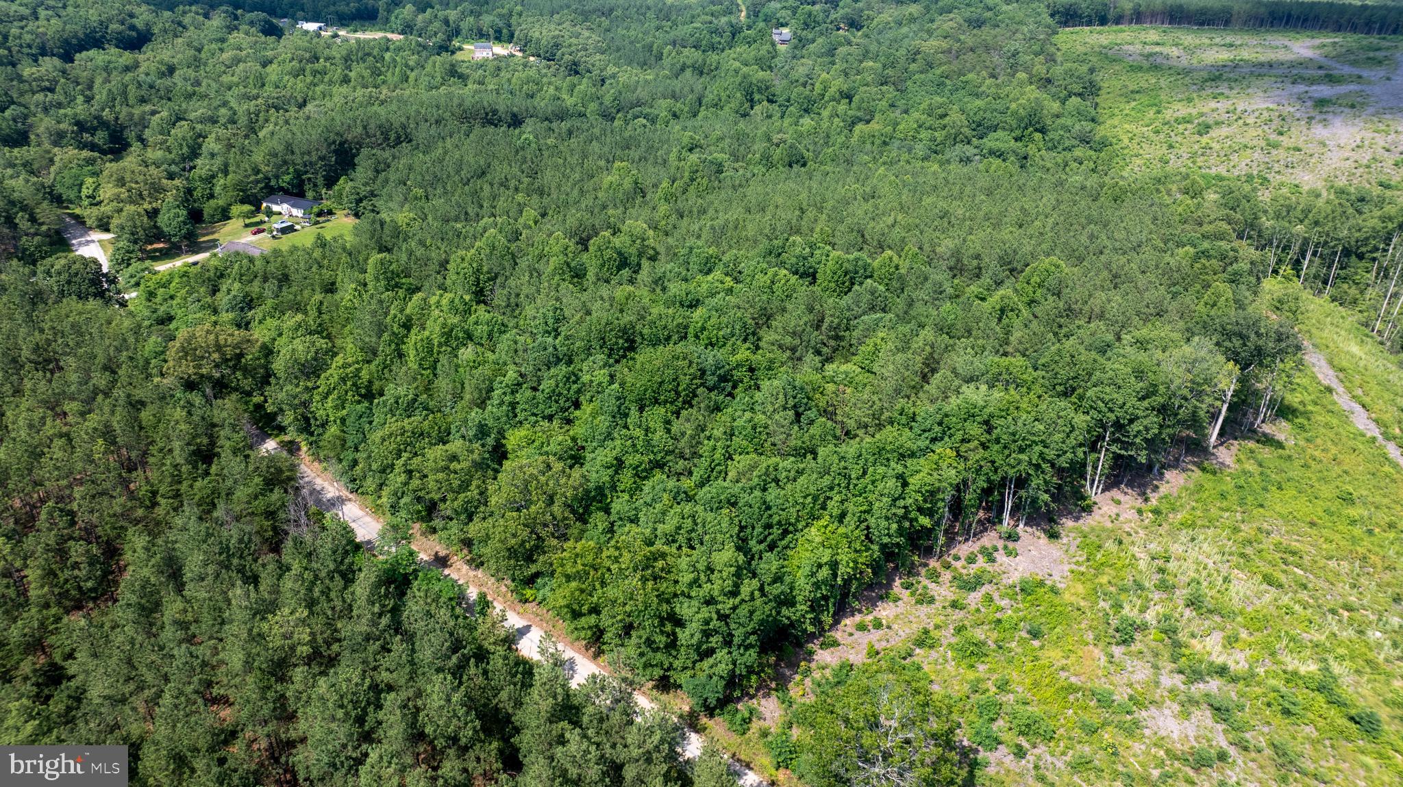 Tbd Springfield Road, Unit 1 Meherrin, VA 23954 - Photo 5 of 19 a view of a lush green forest with lawn chairs and plants