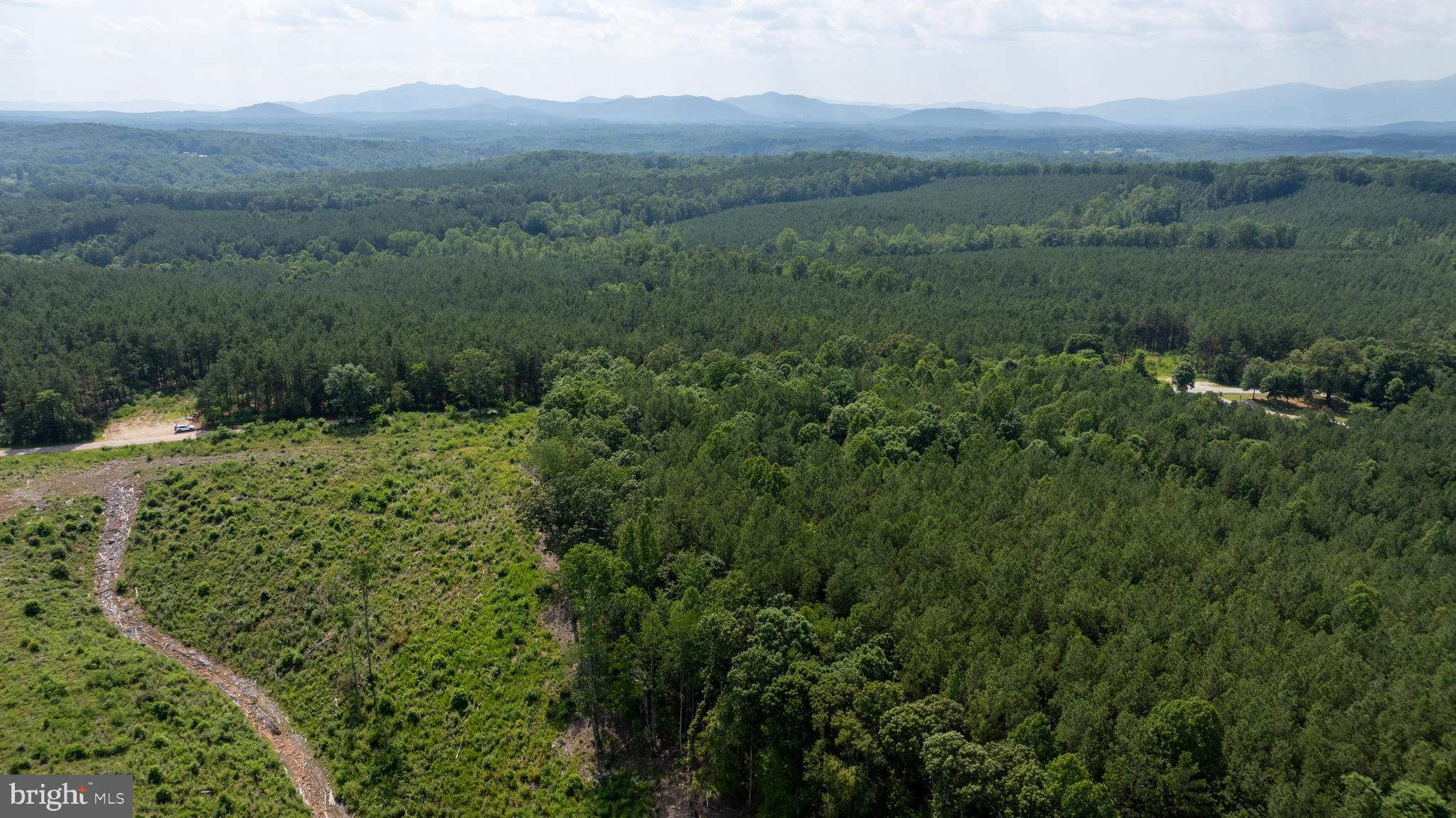 Tbd Springfield Road, Unit 1 Meherrin, VA 23954 - Photo 6 of 19 a view of a lush green hillside and a building