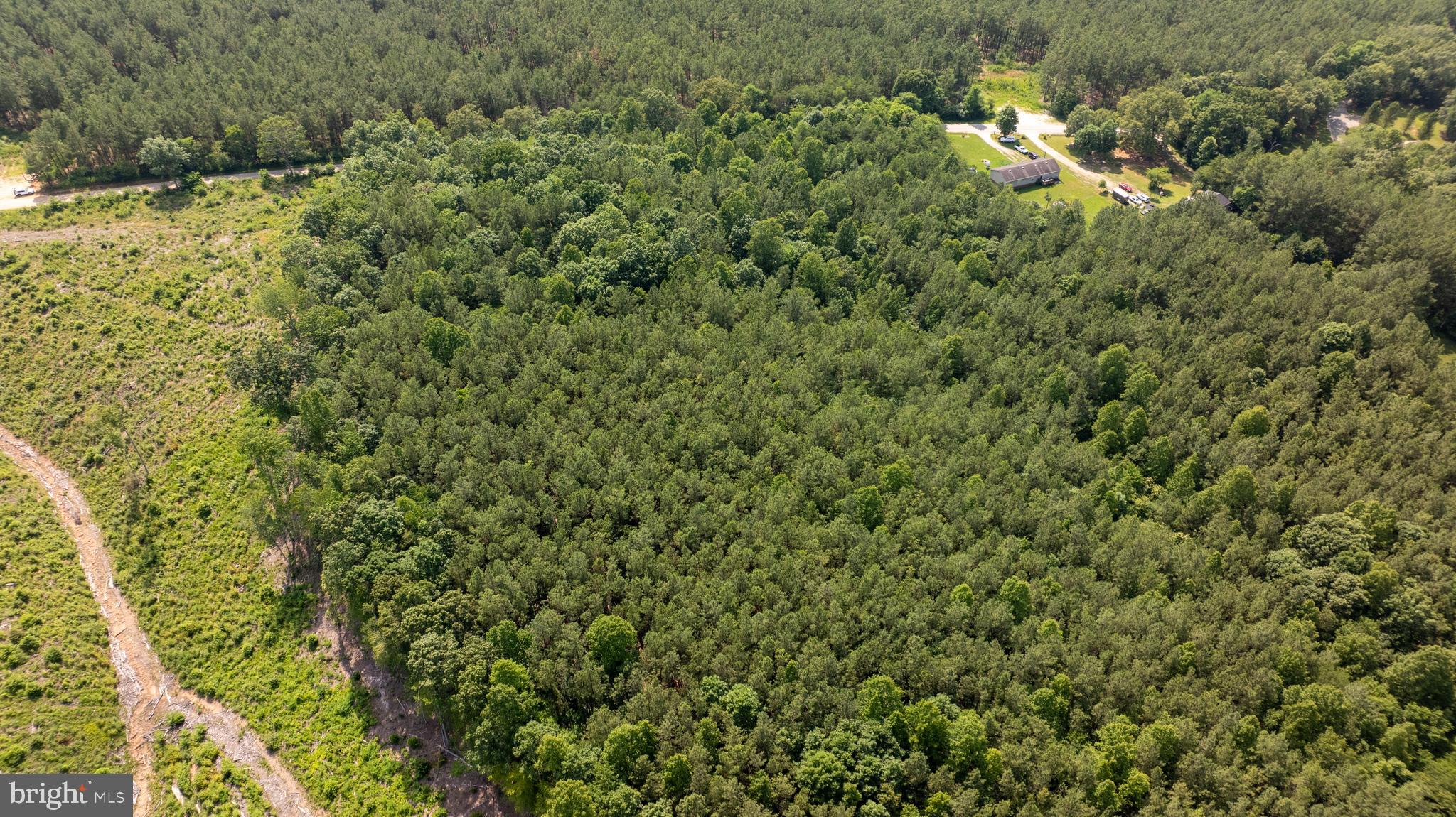 Tbd Springfield Road, Unit 1 Meherrin, VA 23954 - Photo 7 of 19 a view of a house with a lush green forest