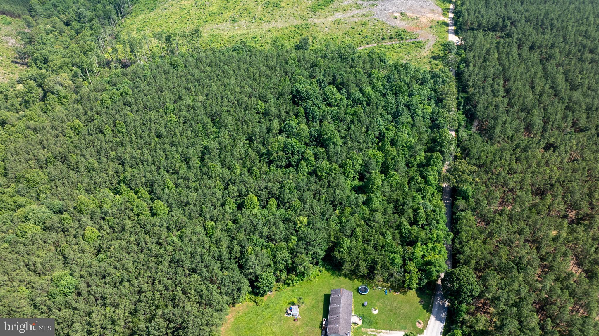 Tbd Springfield Road, Unit 1 Meherrin, VA 23954 - Photo 8 of 19 a view of a yard