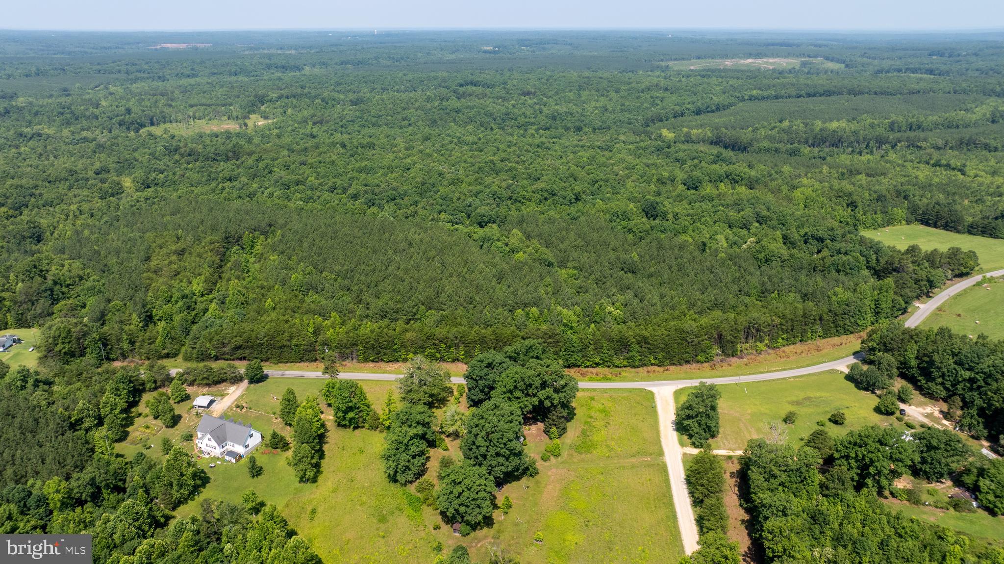 Tbd Springfield Road, Unit 1 Meherrin, VA 23954 - Photo 10 of 19 a view of a forest with a yard
