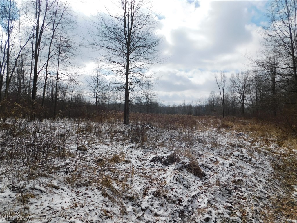10008 Cable Line Road Newton Falls, OH 44444 - Photo 14 of 31