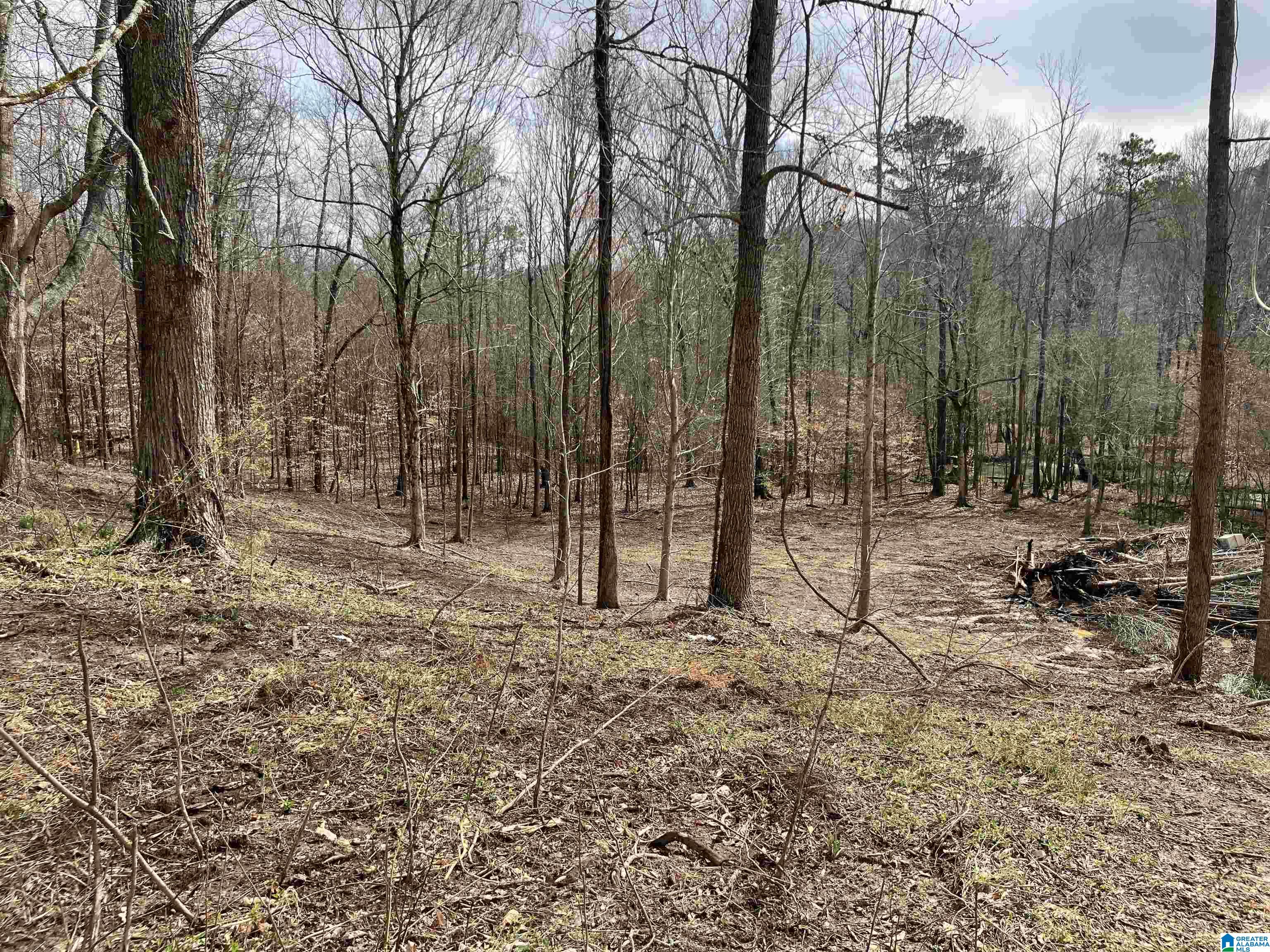 4624 Greensport Road Ashville, AL 35953 - Photo 26 of 37