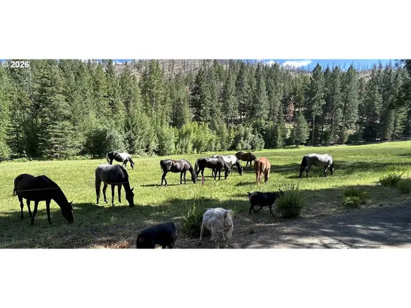 $875,000 | 25855 Pine Creek Road, John Day, OR 97845