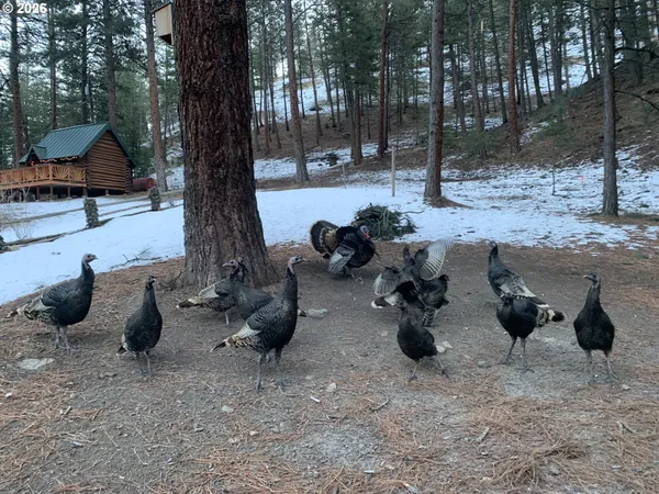 $875,000 | 25855 Pine Creek Road, John Day, OR 97845