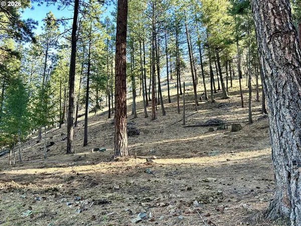 $875,000 | 25855 Pine Creek Road, John Day, OR 97845