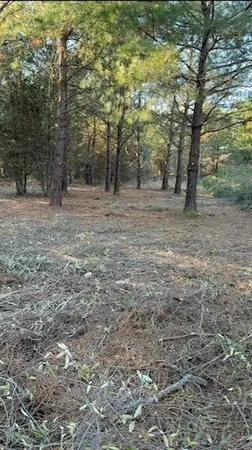 $31,500 | 29 Jennie Lane, Picayune, MS 39466