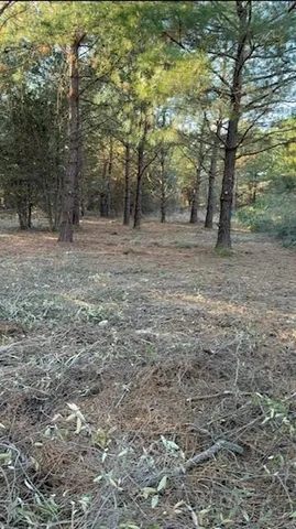 $37,500 | 29 Jennie Lane, Picayune, MS 39466