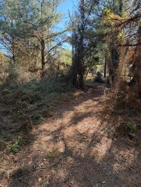 29 Jennie Lane Picayune, MS 39466 - Photo 2 of 8