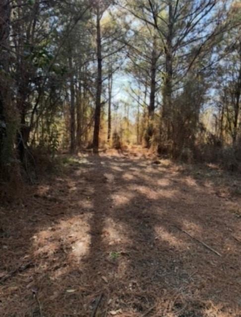 29 Jennie Lane Picayune, MS 39466 - Photo 3 of 8