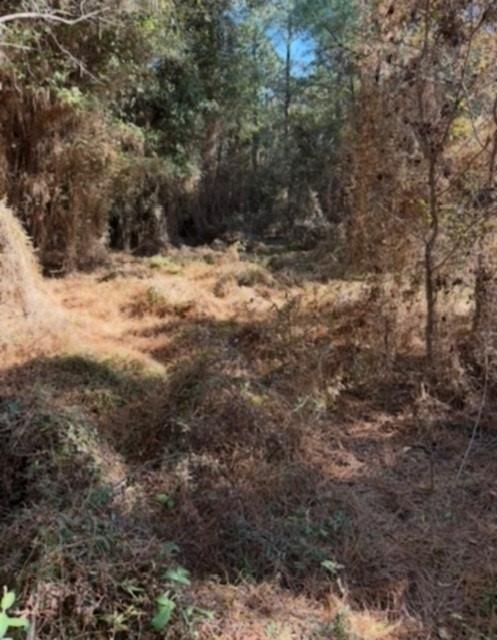 29 Jennie Lane Picayune, MS 39466 - Photo 4 of 8