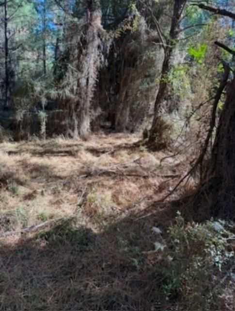 29 Jennie Lane Picayune, MS 39466 - Photo 5 of 8