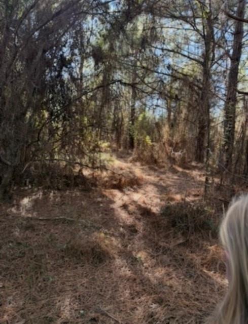 29 Jennie Lane Picayune, MS 39466 - Photo 6 of 8